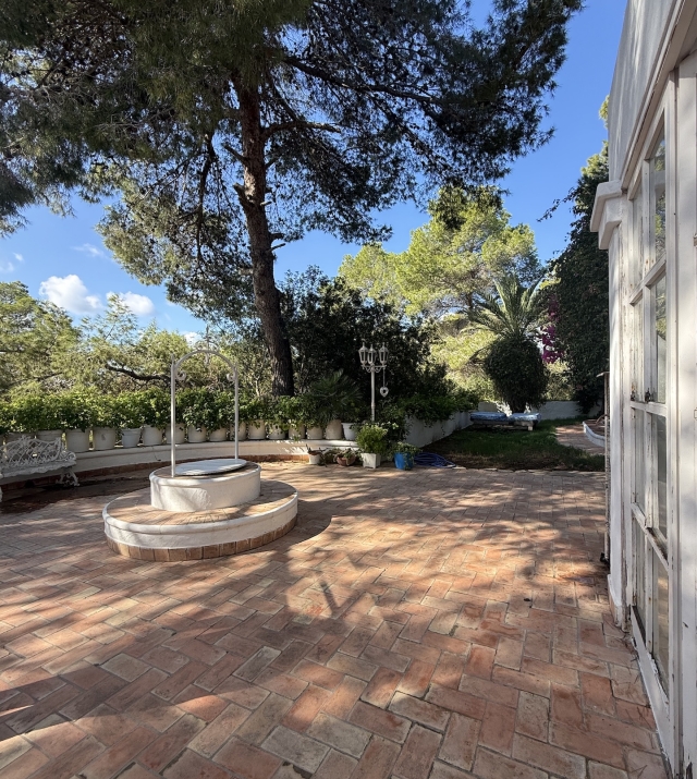 Resa Estates for sale te koop project Cala Tarida Ibiza pool patio trees.jpeg